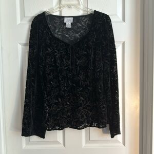 Ann Taylor Loft velvet long sleeve blouse